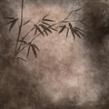 Old paper with bamboo branches Royalty Free Stock Photo