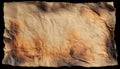 Old paper with burnt backgrounds document texture. Royalty Free Stock Photo