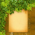 Old paper listing on rusty iron wall with bright foliage