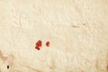 Old paper with mold and red sealing wax background Royalty Free Stock Photo