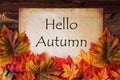 Old Paper With Text Hello Autumn, Colorful Leaves Decoration