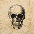 Old paper texture background Halloween scrapbook Skull decoration