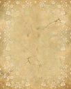 Old paper texture with rose pattern Royalty Free Stock Photo