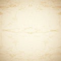 Old paper. Vector texture Royalty Free Stock Photo