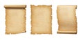 Old Parchment paper scroll set isolated on white. Vertical banners Royalty Free Stock Photo