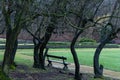 Old Park bench. Autumn colors in park Royalty Free Stock Photo