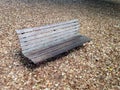 Old Park Bench with Hundreds of Leaves