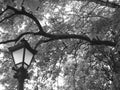 Old park in black&white