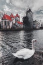 Old park and Castle Pottendorf in Austria with a white swan