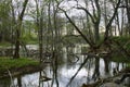 Old Park, centennial Park, fallen tree, sludge pond Royalty Free Stock Photo