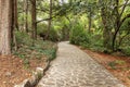 An old park with dense vegetation and a pedestrian path