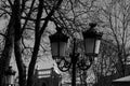 In an old park, between old branchy trees - street lamps.