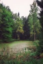 The old park with a small reservoir and century trees, a subject - seasons, art processing.