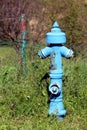Old partially rusted vintage light blue metal fire hydrant in front of broken wire fence surrounded with tall uncut grass Royalty Free Stock Photo