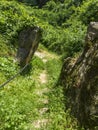 Old path from a cliff and tower in Istria Royalty Free Stock Photo