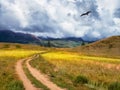 Old path through mountains. Trekking mountain trail. Bright atmospheric minimalist alpine landscape with stony footpath among