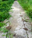 Old Path Royalty Free Stock Photo