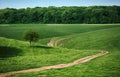 And old path wandering between green fields Royalty Free Stock Photo