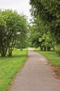 Old pathway in woods, aged weathered tarmac asphalt trail, large arboretum, peaceful tranquil verdant garden park walk pavement