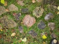 Background. fragment. texture. the old road is paved with wild stone, cobblestones. landscape design, natural style.