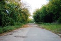 An old paved road in an alley of trees in a restricted area. Royalty Free Stock Photo