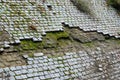 Old paved wall, mossy dirty and missing cobblestones Royalty Free Stock Photo