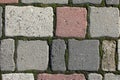 Old pavement of colored stones with growing the moss in the seam