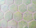 An old paving block in green can be used as a texture background Royalty Free Stock Photo