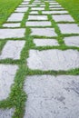 Old paving in a public park made with irregularly shaped stone blocks in a pedestrian zone and fresh green lawn Royalty Free Stock Photo