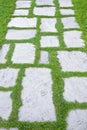 Old paving in a public park made with irregularly shaped stone blocks in a pedestrian zone Royalty Free Stock Photo