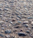 An old paving roadway. Road paved with cobblestones.