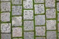 Old paving stones with grass in historical area in Prague Royalty Free Stock Photo