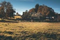 Old peasant house in beautiful natural surroundings.Horses grazing on the green field.Sunny autumn day. Royalty Free Stock Photo