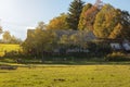 Old peasant house in beautiful natural surroundings.Horses grazing on the green field.Sunny autumn day. Royalty Free Stock Photo