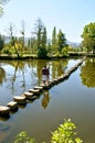 Old pedestrian bridge in Chaves Royalty Free Stock Photo