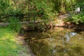 Old pedestrian bridge over a pond in the forest on a summer Royalty Free Stock Photo