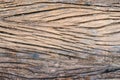 Old peel wood