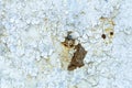 Old peeling paint texture on a wooden wall background. Pattern and texture of old dried paint and stucco on a rough surface Royalty Free Stock Photo