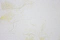 Old shabby cracked pale gray paint with spots of yellow mold. Royalty Free Stock Photo