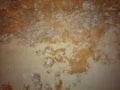 Old peeling wall by infiltration. Royalty Free Stock Photo