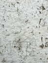 Old peeling wall. Wide panoramic texture for grunge background. Abstract background. Grey color. Vertical white wall Royalty Free Stock Photo