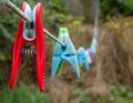 Old pegs hanging on a clothes line Royalty Free Stock Photo