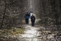 Old people, pandemic survivals left houses at the end of winter, traffic in parks, Nordic walking Royalty Free Stock Photo