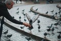 Old people and pigeons Royalty Free Stock Photo