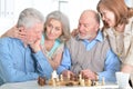 Old people play chess Royalty Free Stock Photo