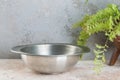 Old pewter bowl and green plant Royalty Free Stock Photo