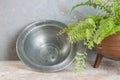 Old pewter bowl and green plant Royalty Free Stock Photo
