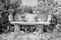 Old photo beautiful bench on nature near the sea background Royalty Free Stock Photo