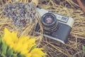 Old photo camera in a grass. Royalty Free Stock Photo