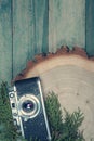 Old photo camera on wooden board with leaves of thuja